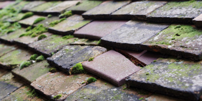 Bewdley roof repair costs